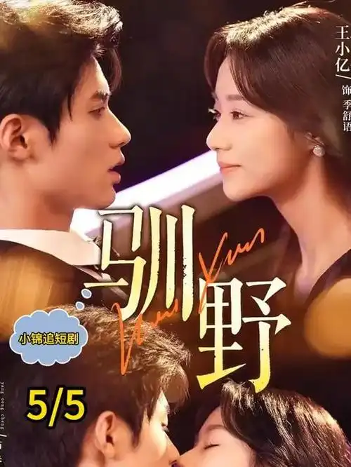听风的人热播电视剧全集免费观看